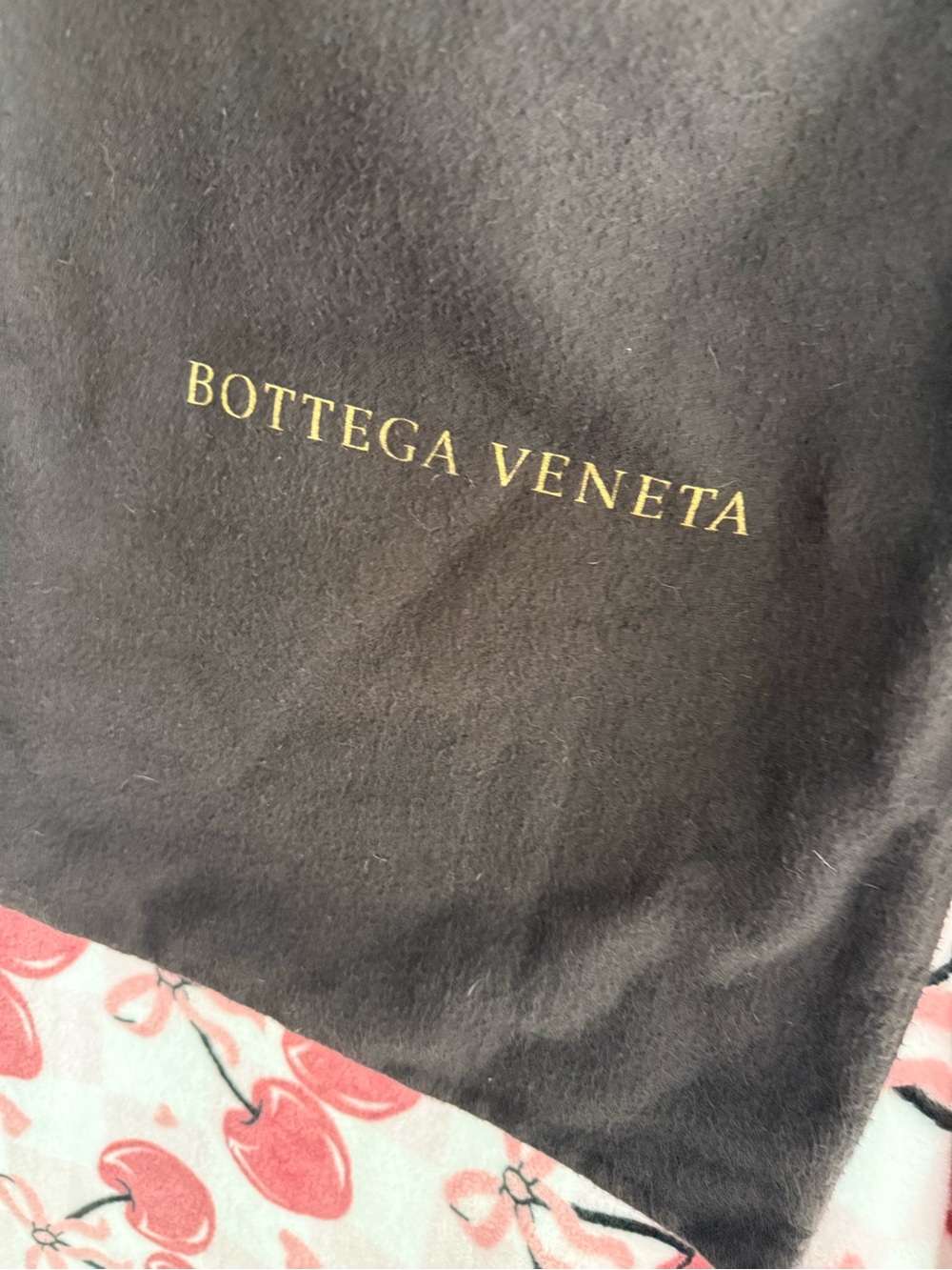 Bottega Veneta Brown Dust Bag with Gold Logo